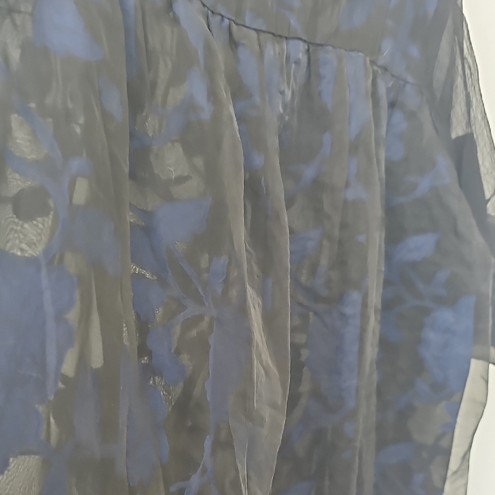 Sheer Black and Blue Lace Chiffon Dress - Picture 8 of 8